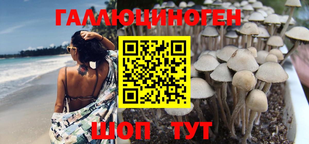 Грязи  Галлюциногенные грибы MAGIC MUSHROOMS  Галлюциногенные грибы GOLDEN TEACHER  Вход с VPN 