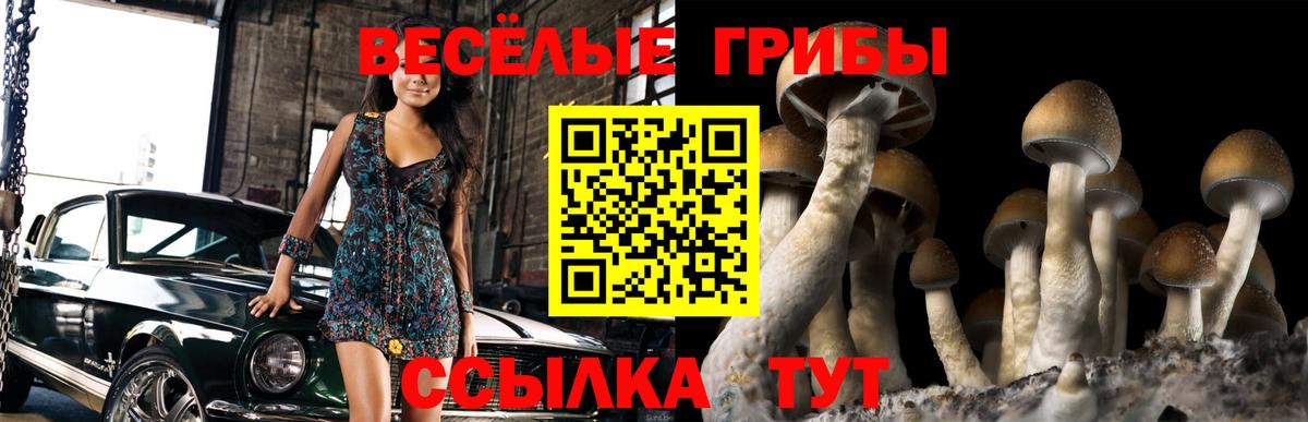 Псилоцибиновые грибы мицелий Грязи